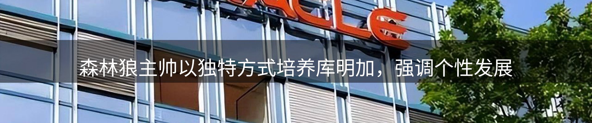 每日焦点