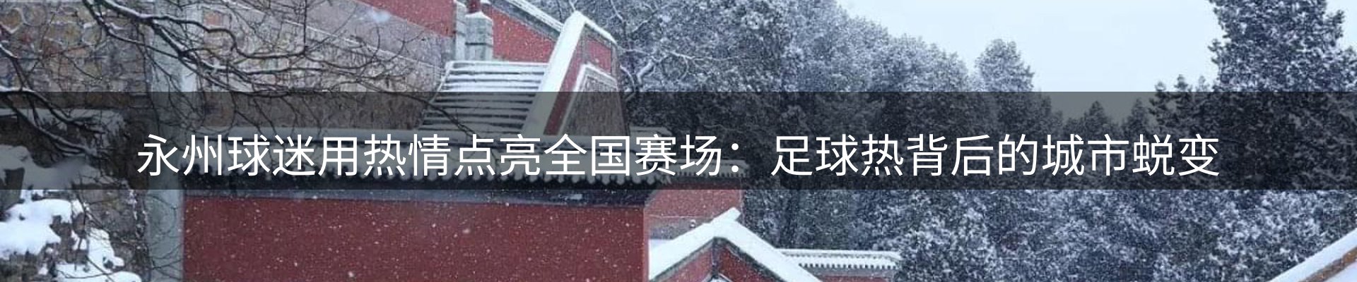 每日焦点