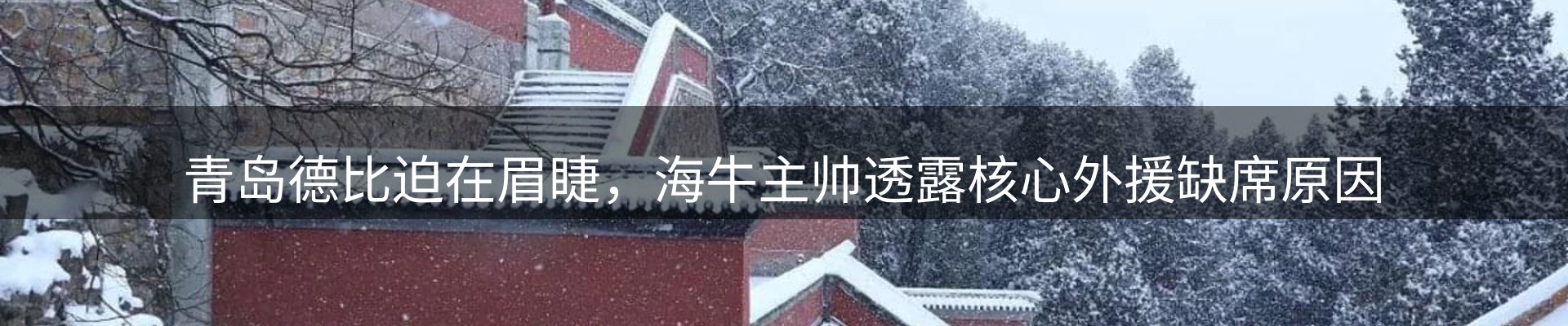 品牌资讯